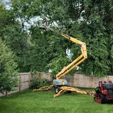 Best Tree Cabling and Bracing  in Bunker Hill, OR