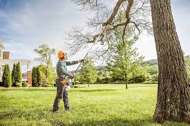 Best Tree Mulching  in Bunker Hill, OR